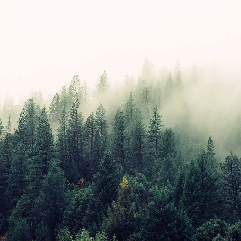 seo网站关键词优化